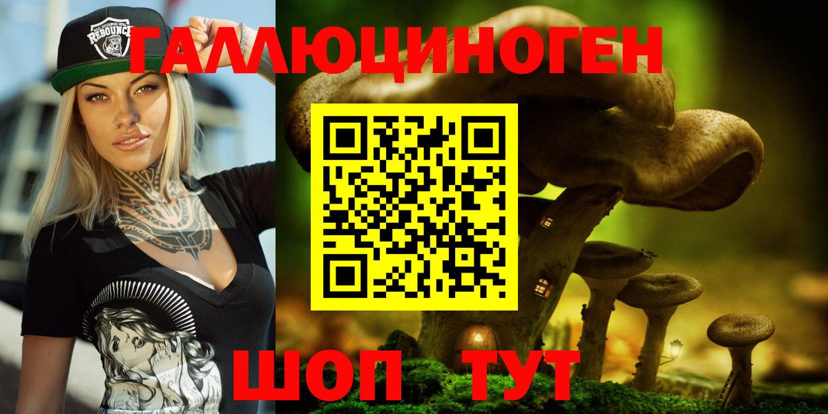 Юрга  Галлюциногенные грибы прущие грибы  Вход с VPN 
